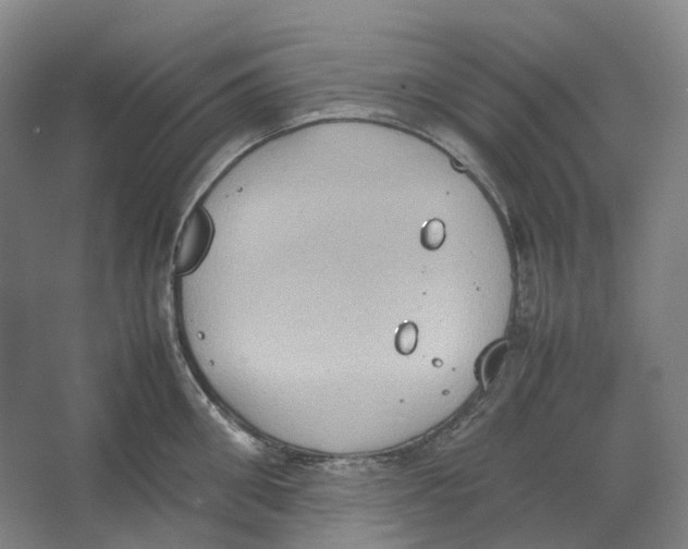 X0000064040906200602171641