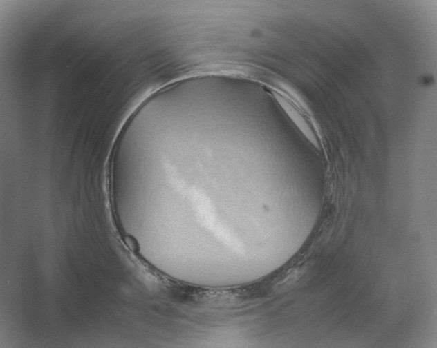 X0000064040907200602171641