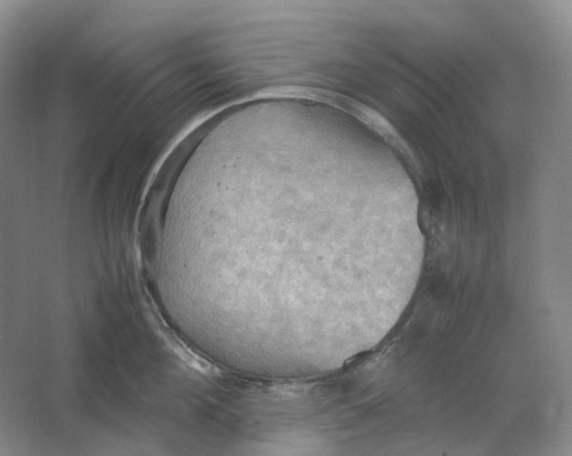 X0000064040908200602171641