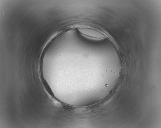 X0000064040909200602171641