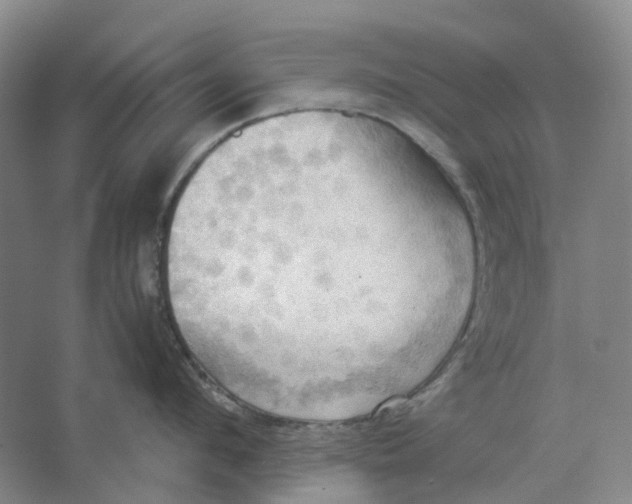 X0000064040912200602171641