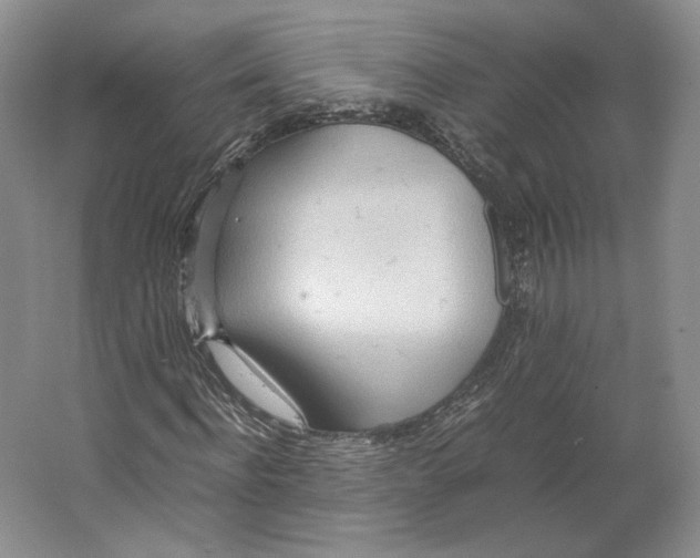 X0000064040916200602171640