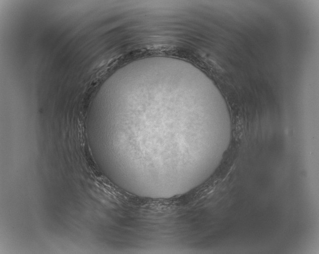 X0000064040917200602171640