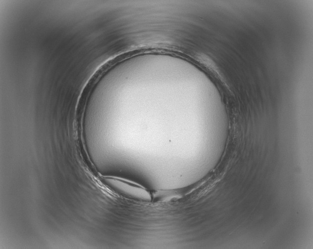 X0000064040924200602171640