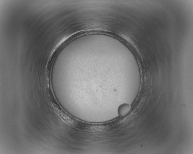 X0000064040925200602171640