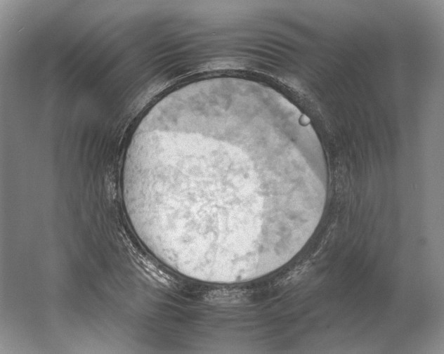 X0000064040929200602171640