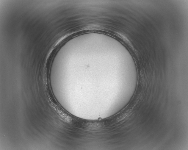 X0000064040931200602171640