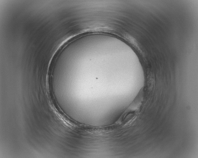 X0000064040932200602171640