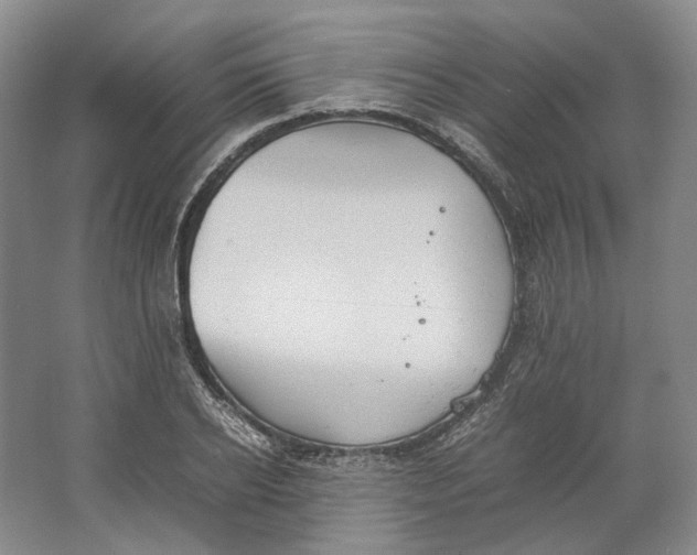 X0000064040934200602171640