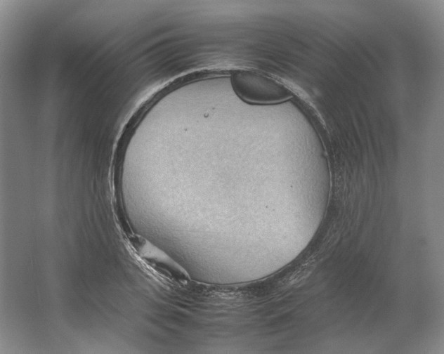 X0000064040935200602171640