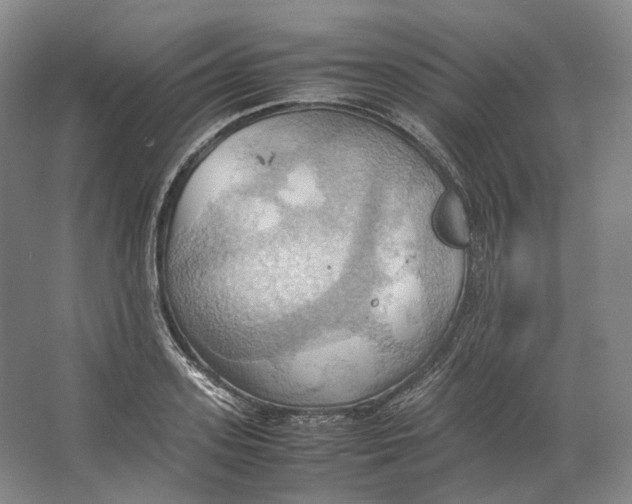 X0000064040939200602171640