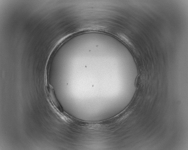 X0000064040940200602171640