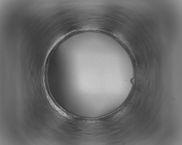 X0000064040941200602171640