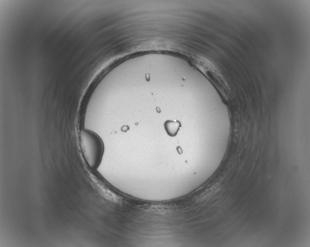 X0000064040942200602171640