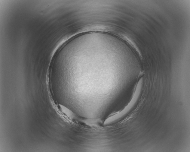 X0000064040944200602171640