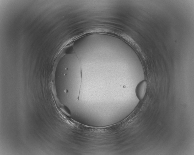 X0000064040945200602171640