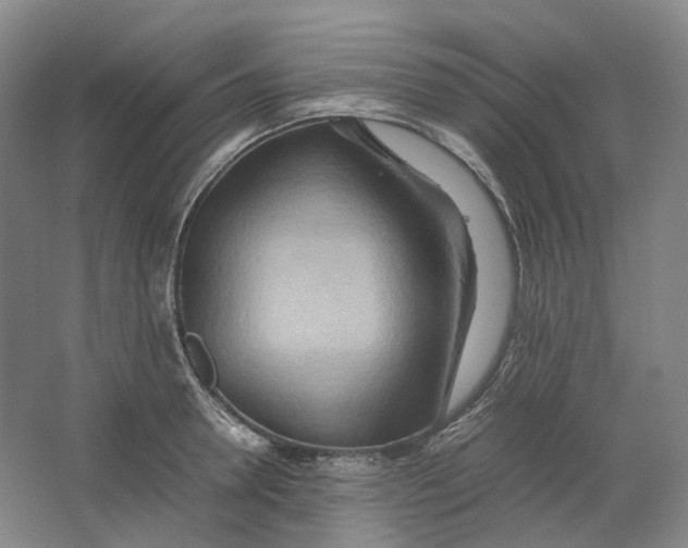 X0000064040946200602171641