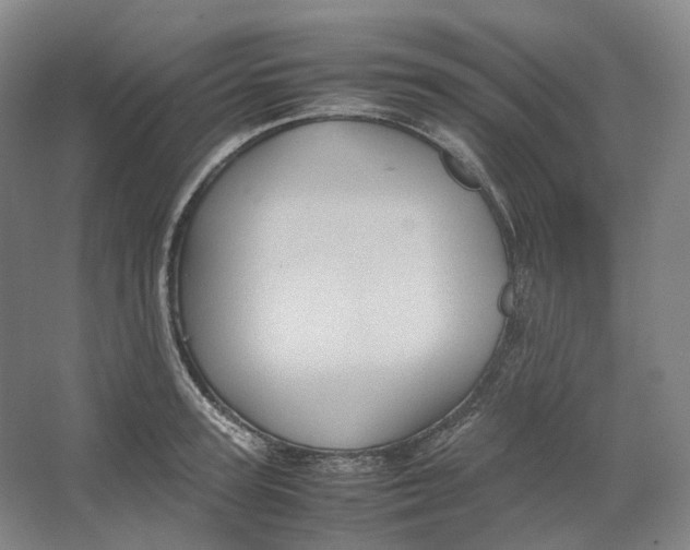 X0000064040947200602171641