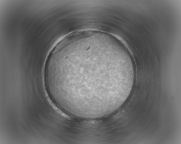 X0000064040949200602171641