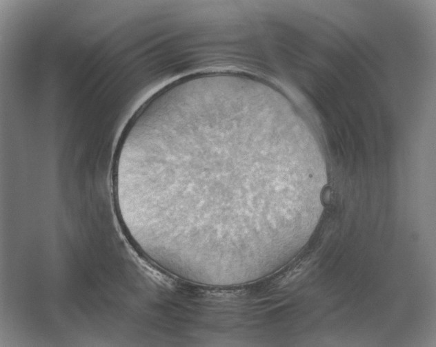 X0000064040951200602171641