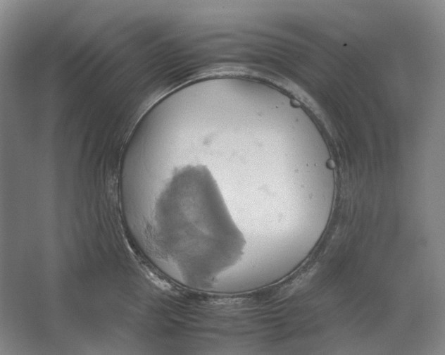 X0000064040953200602171641