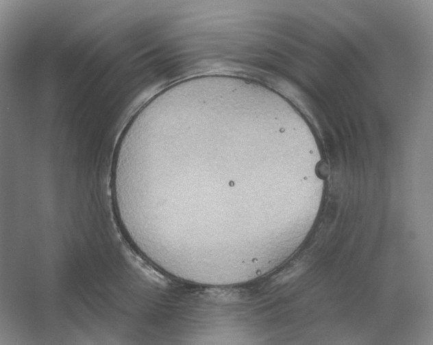 X0000064040954200602171641