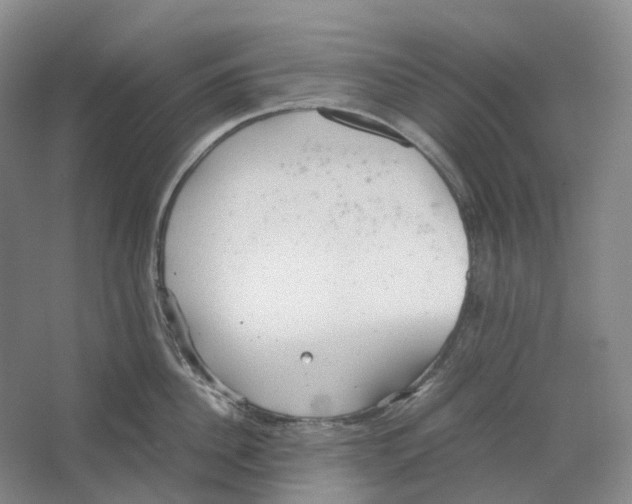 X0000064040956200602171641