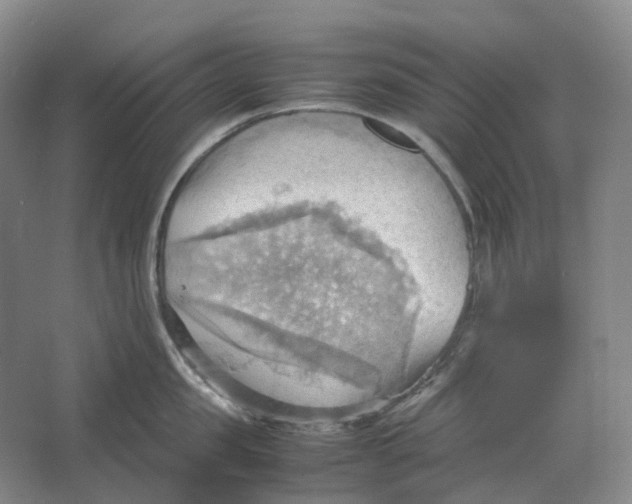 X0000064040957200602171641