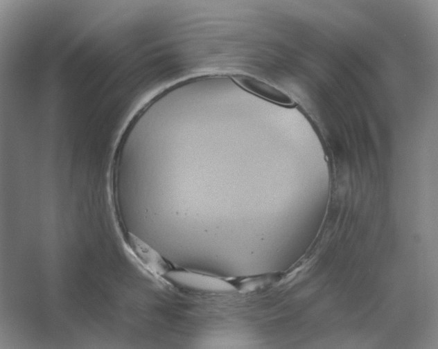 X0000064040958200602171641