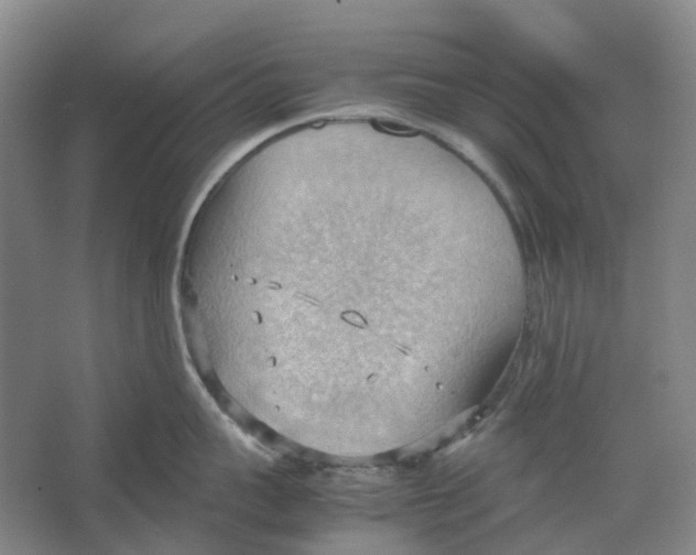 X0000064040959200602171641