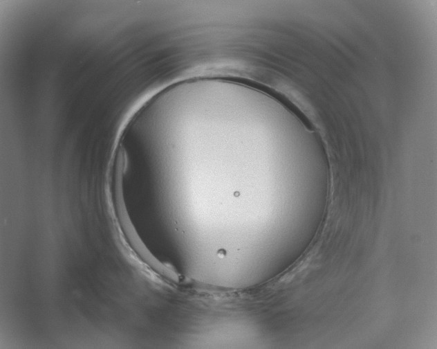 X0000064040960200602171641