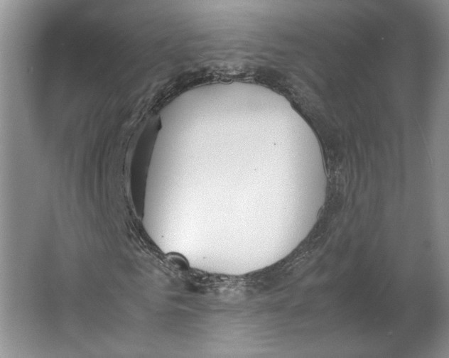 X0000064040961200602171640