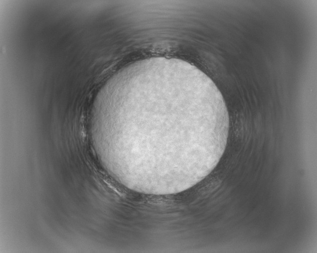 X0000064040962200602171640