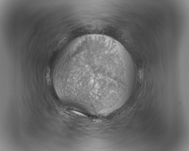 X0000064040963200602171640