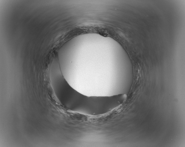 X0000064040965200602171640