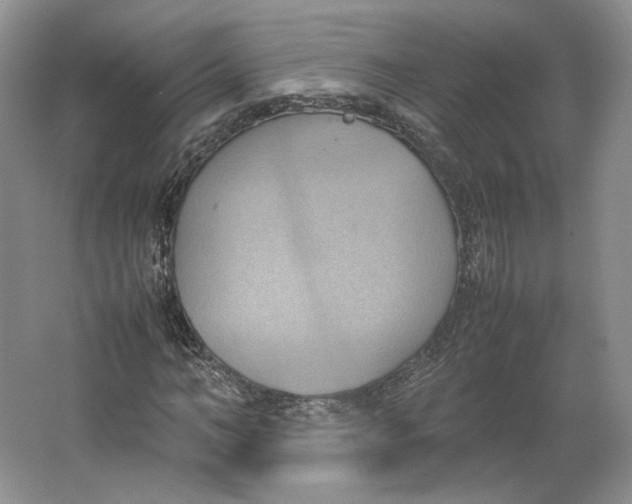 X0000064040966200602171640