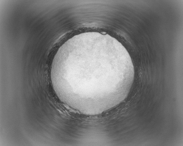 X0000064040968200602171640