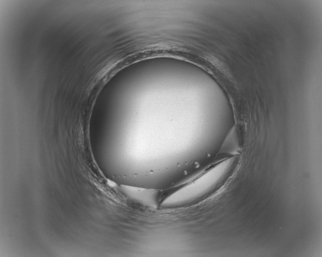 X0000064040969200602171640