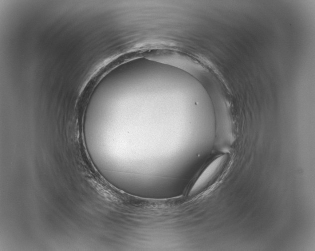 X0000064040973200602171640