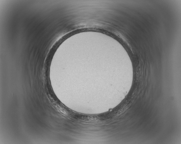 X0000064040975200602171640