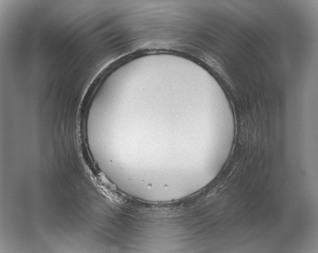 X0000064040976200602171640