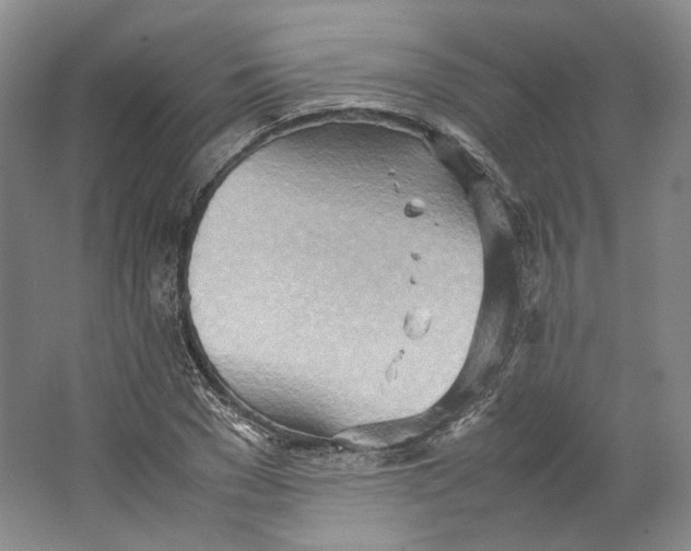 X0000064040977200602171640