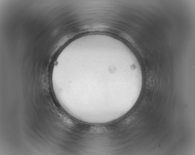 X0000064040978200602171640