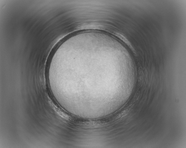 X0000064040980200602171640