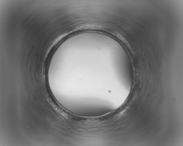 X0000064040981200602171640