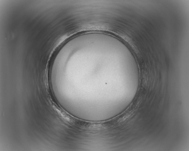 X0000064040982200602171640