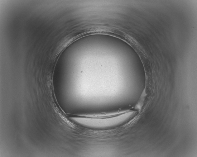 X0000064040985200602171640