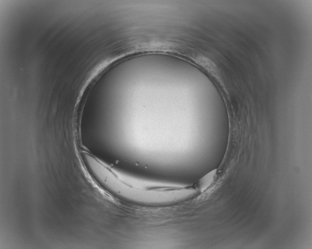 X0000064040989200602171639