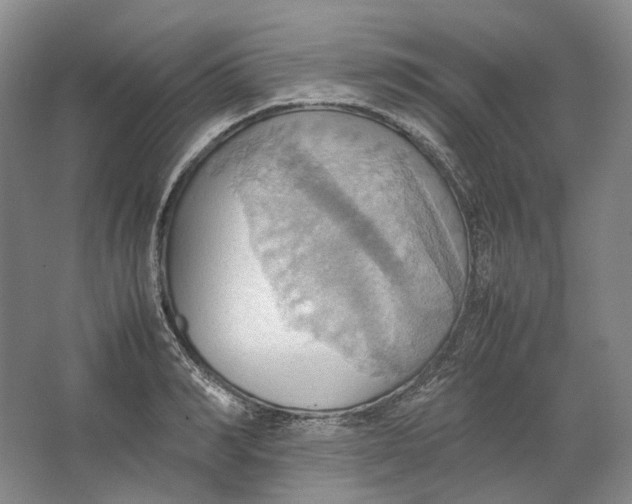 X0000064040990200602171639