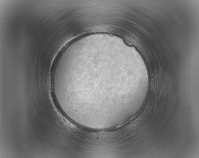 X0000064040992200602171639